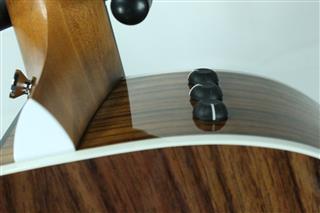 TAYLOR GUITARS 214CE DLX